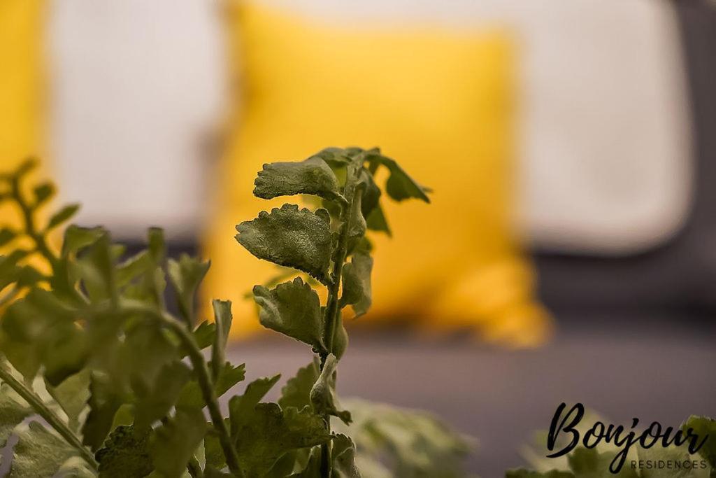 Spacious 2Br-1Ba - Grassmarket - Free Parking By Bonjour Residences Edinburgh Kültér fotó